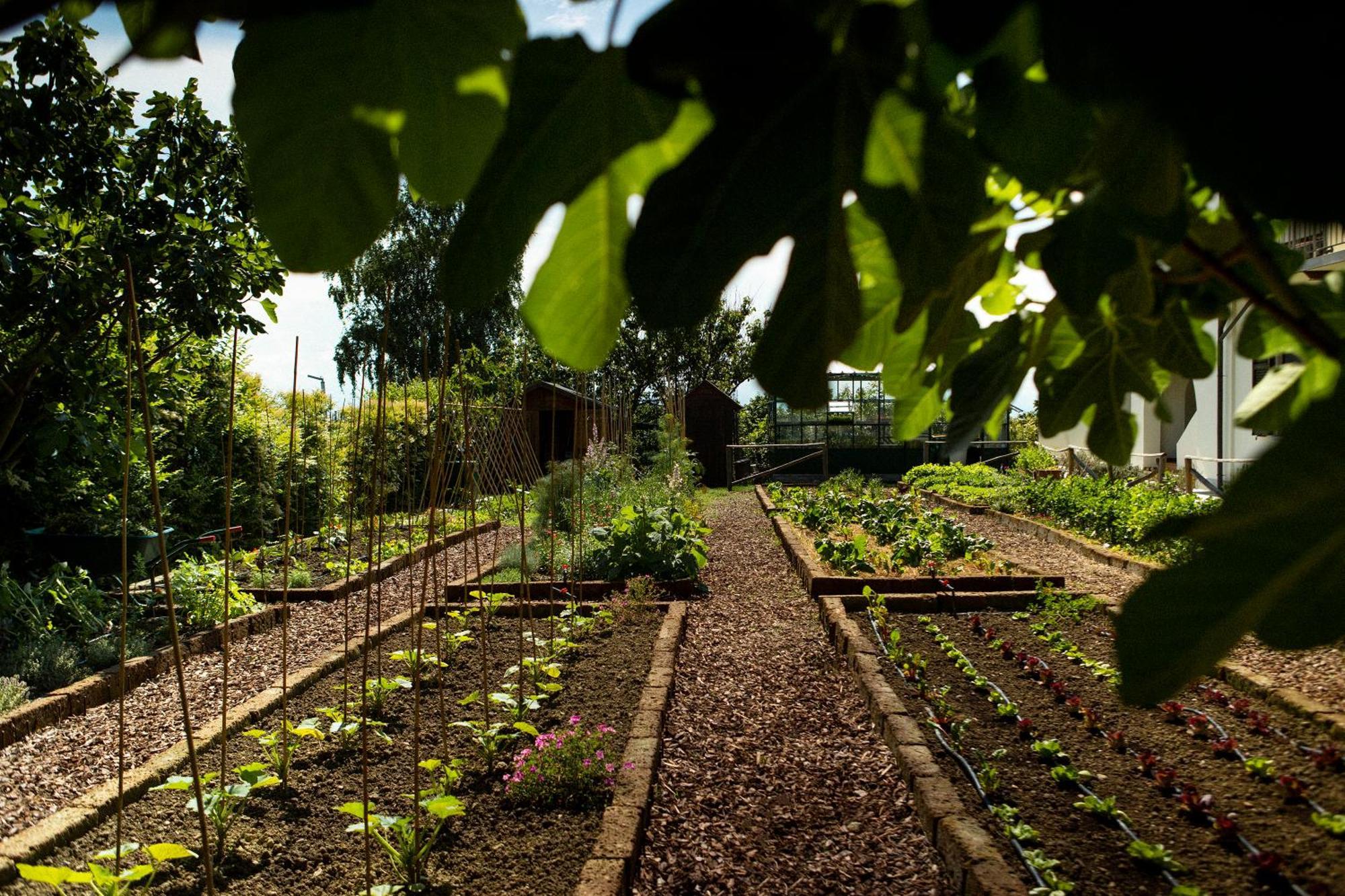 Coltivare Agrirelais La Morra Exterior photo
